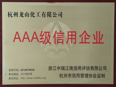  AAA Credit Enterprise 