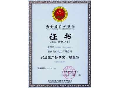  Safety Production Standardization Certificate 