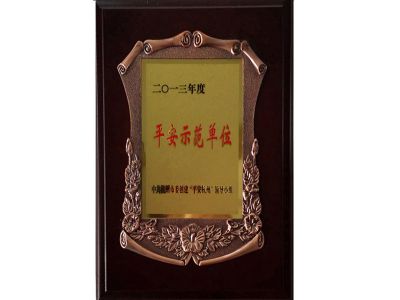  Safety Production Standardization Certificate 