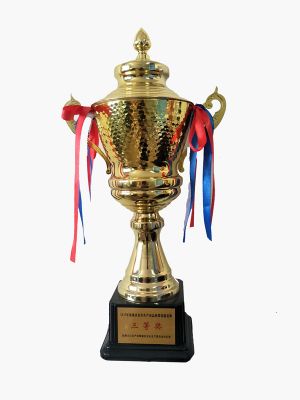 Emergency technical competition for safety production 